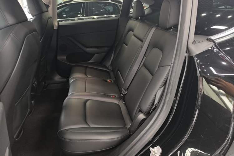 Used Tesla Model Y 2022 Revised Version Rear-Wheel Drive Left Rear Seat
