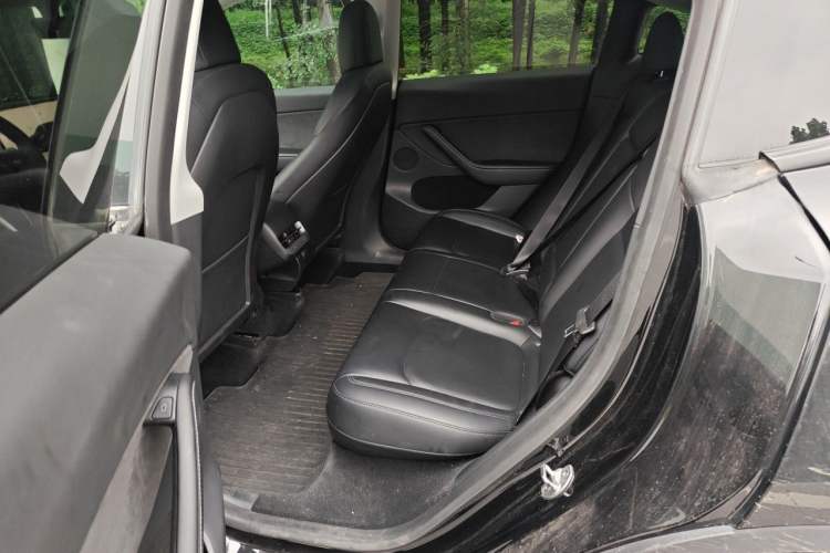 Used Tesla Model Y 2022 Performance High-Performance All-Wheel-Drive Version Left Rear Seat
