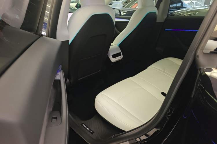 Used Tesla Model Y 2022 Revised Version Long-Range All-Wheel Drive Left Rear Seat