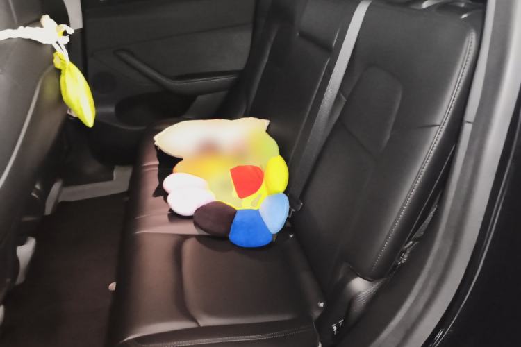 Used Tesla Model Y 2022 Rear-Wheel-Drive Version Left Rear Seat