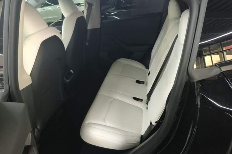 Used Tesla Model Y 2022 Rear-Wheel-Drive Version Left Rear Seat