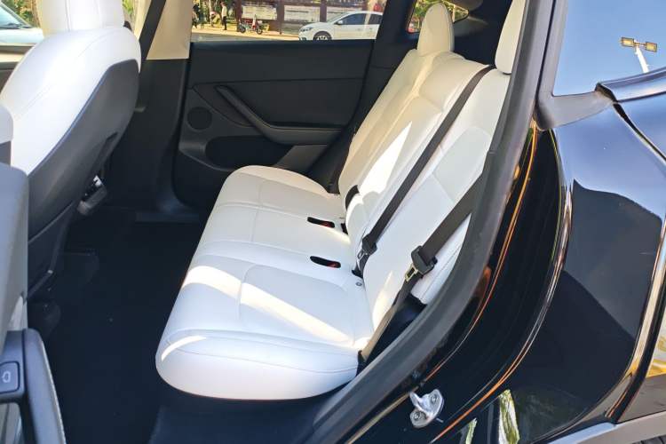 Used Tesla Model Y 2022 Rear-Wheel-Drive Version Left Rear Seat