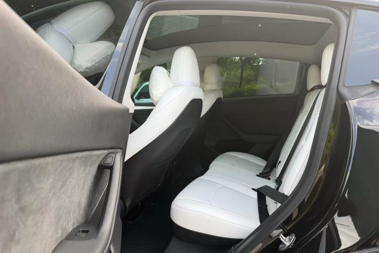 Used Tesla Model Y 2022 Revised Version Rear-Wheel Drive Left Rear Seat