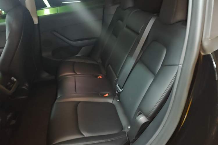 Used Tesla Model Y 2022 Revised Version Rear-Wheel Drive Left Rear Seat