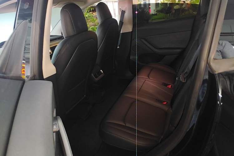 Used Tesla Model Y 2022 Rear-Wheel-Drive Version Left Rear Seat