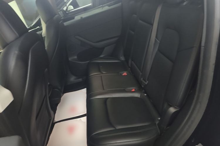 Used Tesla Model Y 2022 Rear-Wheel-Drive Version Left Rear Seat