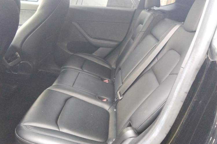 Used Tesla Model Y 2022 Revised Version Rear-Wheel Drive Left Rear Seat