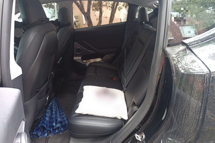 Used Tesla Model Y 2022 Rear-Wheel-Drive Version Left Rear Seat