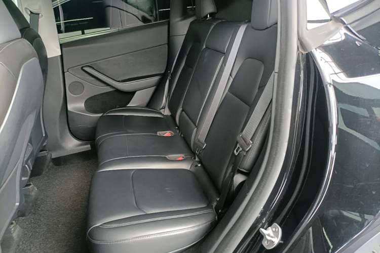 Used Tesla Model Y 2022 Revised Version Long-Range All-Wheel Drive Left Rear Seat