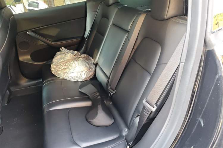 Used Tesla Model Y 2022 Long-Range All-Wheel-Drive Version Left Rear Seat