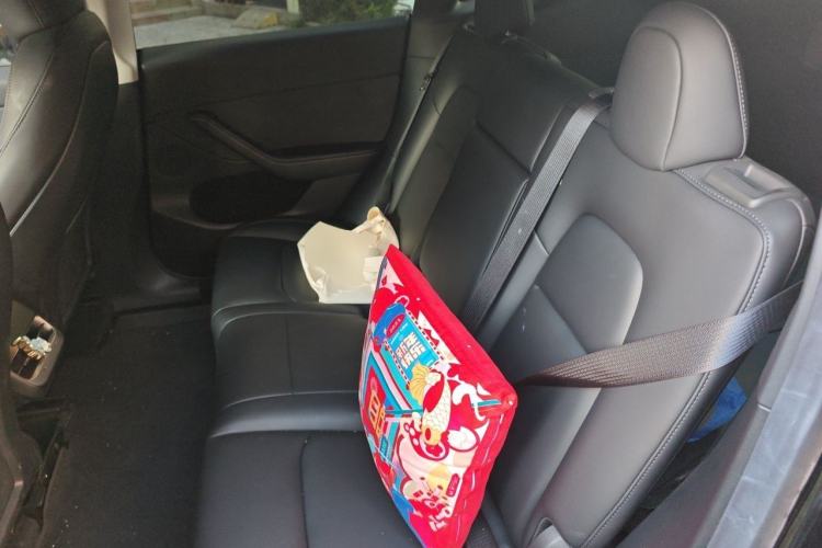 Used Tesla Model Y 2022 Revised Version Rear-Wheel Drive Left Rear Seat