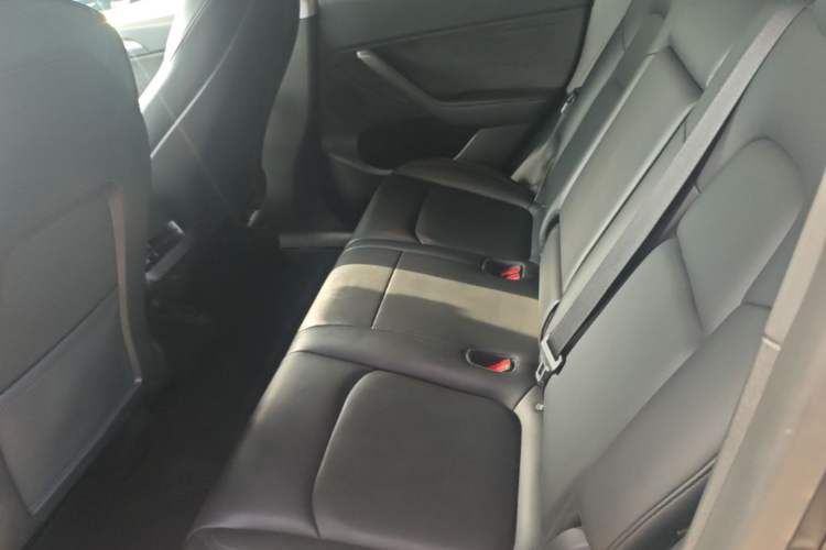Used Tesla Model Y 2022 Rear-Wheel-Drive Version Left Rear Seat