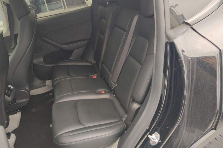 Used Tesla Model Y 2022 Revised Version Rear-Wheel Drive Left Rear Seat