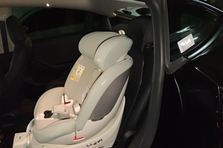 Used Tesla Model Y 2022 Rear-Wheel-Drive Version Left Rear Seat