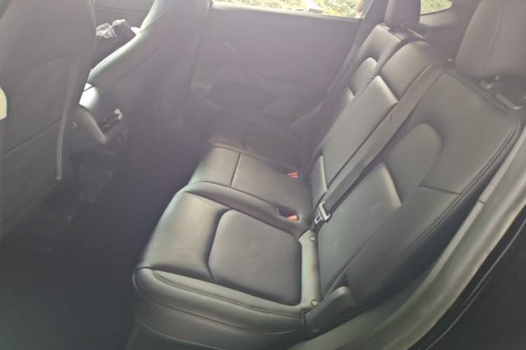 Used Tesla Model Y 2022 Revised Version Rear-Wheel Drive Left Rear Seat