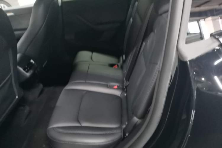 Used Tesla Model Y 2022 Revised Version Rear-Wheel Drive Left Rear Seat
