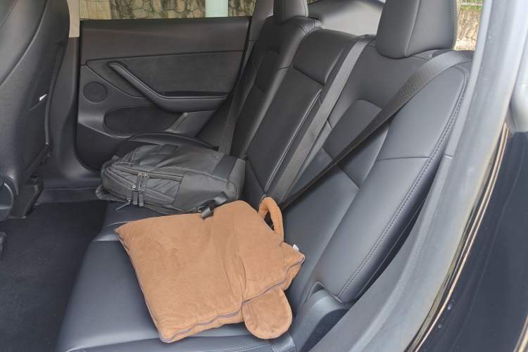 Used Tesla Model Y 2022 Revised Version Rear-Wheel Drive Left Rear Seat