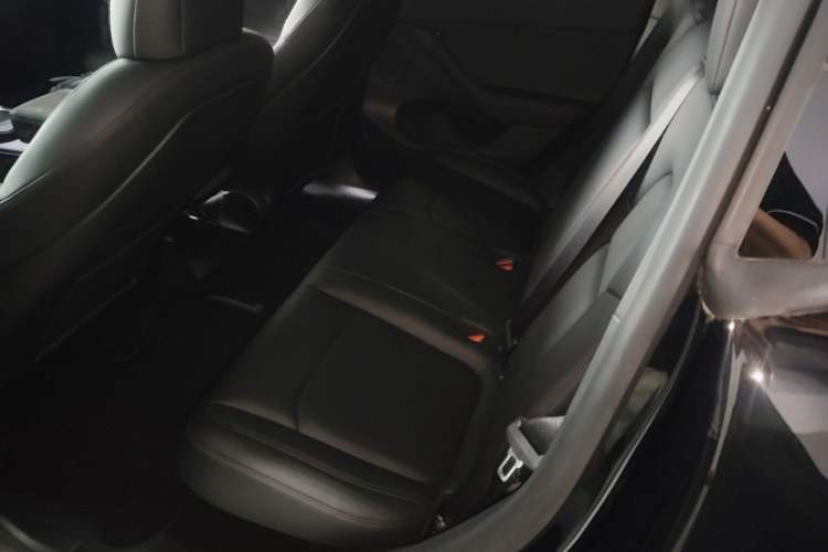 Used Tesla Model Y 2022 Long-Range All-Wheel-Drive Version Left Rear Seat