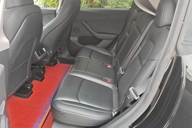 Used Tesla Model Y 2022 Revised Version Rear-Wheel Drive Left Rear Seat