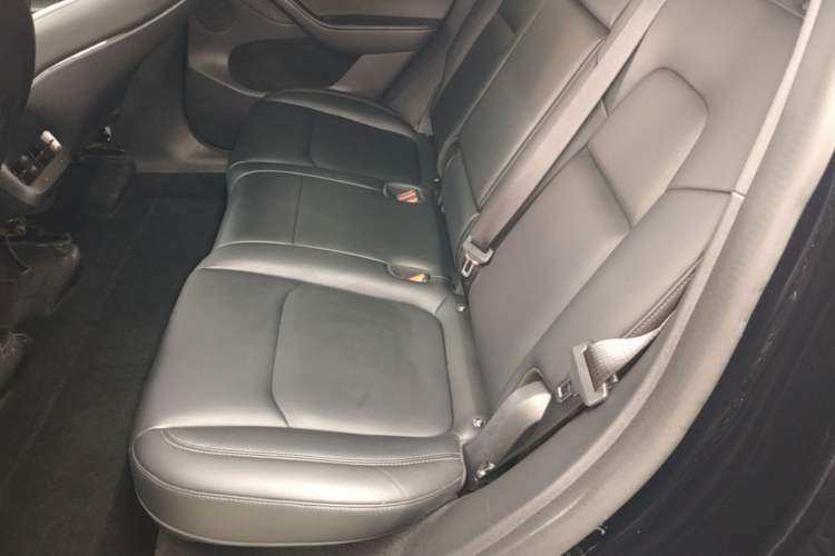 Used Tesla Model Y 2022 Revised Version Rear-Wheel Drive Left Rear Seat