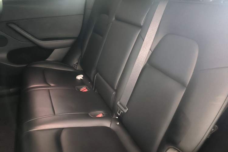 Used Tesla Model Y 2022 Rear-Wheel-Drive Version Left Rear Seat