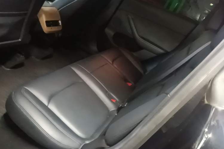 Used Tesla Model Y 2022 Rear-Wheel-Drive Version Left Rear Seat