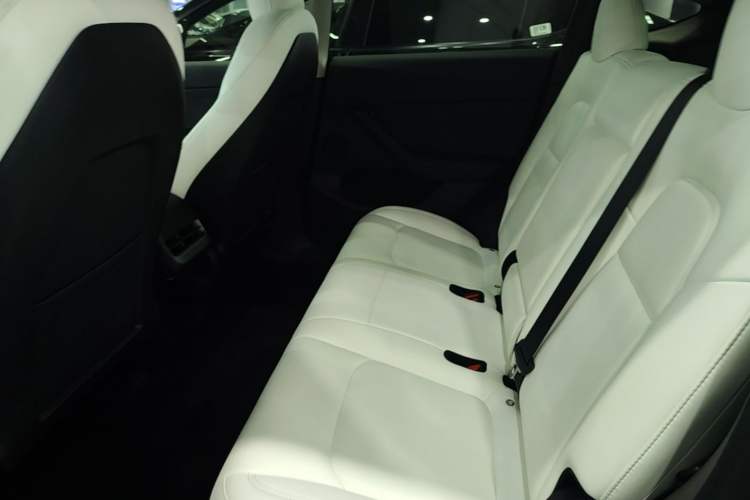 Used Tesla Model Y 2022 Long-Range All-Wheel-Drive Version Left Rear Seat