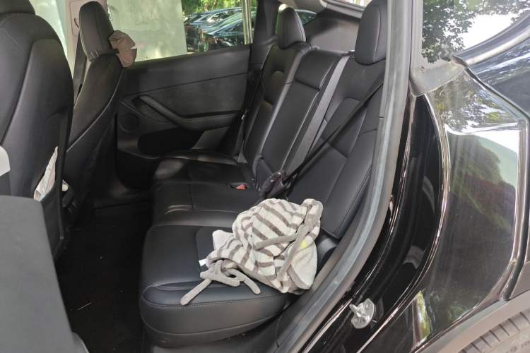 Used Tesla Model Y 2022 Revised Version Rear-Wheel Drive Left Rear Seat