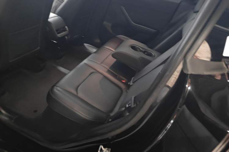 Used Tesla Model Y 2022 Rear-Wheel-Drive Version Left Rear Seat
