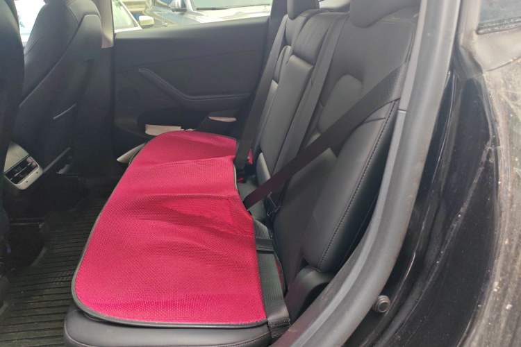 Used Tesla Model Y 2022 Revised Version Rear-Wheel Drive Left Rear Seat