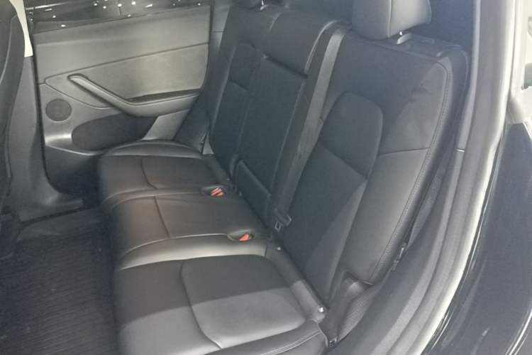 Used Tesla Model Y 2022 Revised Version Rear-Wheel Drive Left Rear Seat