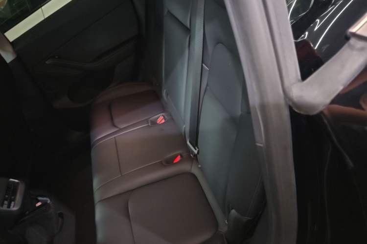 Used Tesla Model Y 2022 Rear-Wheel-Drive Version Left Rear Seat