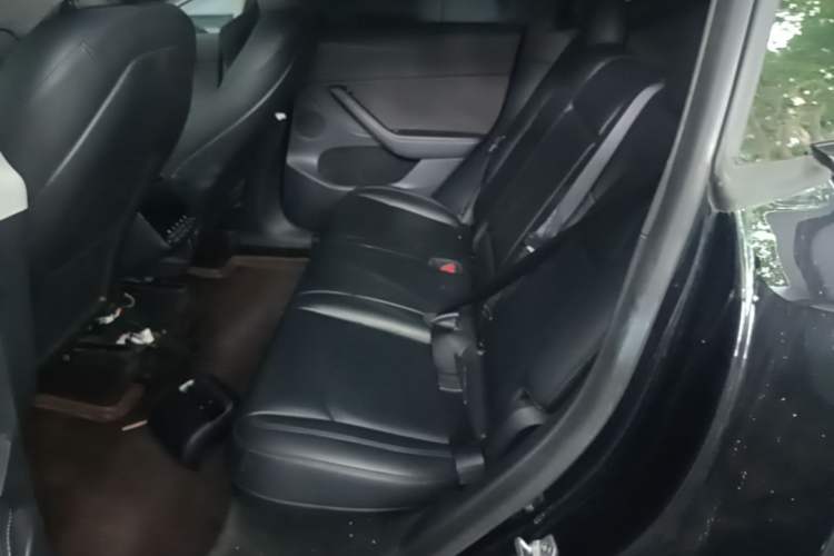Used Tesla Model Y 2022 Long-Range All-Wheel-Drive Version Left Rear Seat