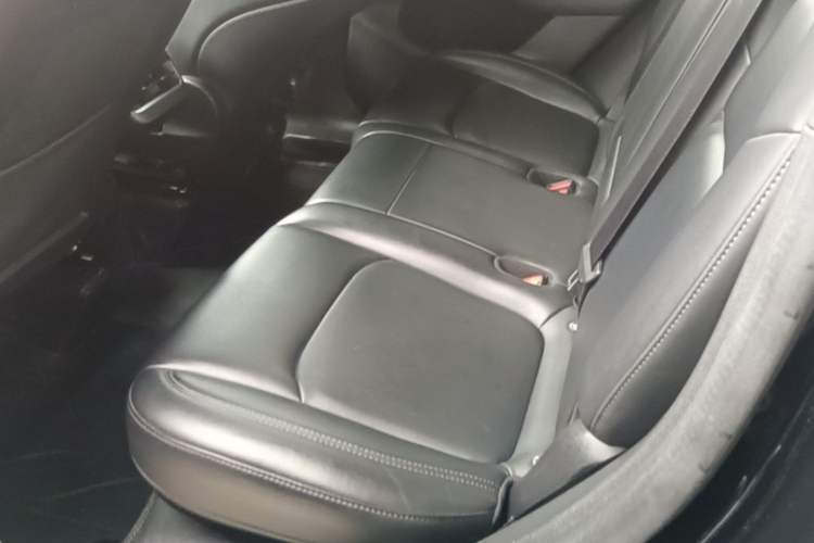 Used Tesla Model Y 2022 Revised Version Rear-Wheel Drive Left Rear Seat
