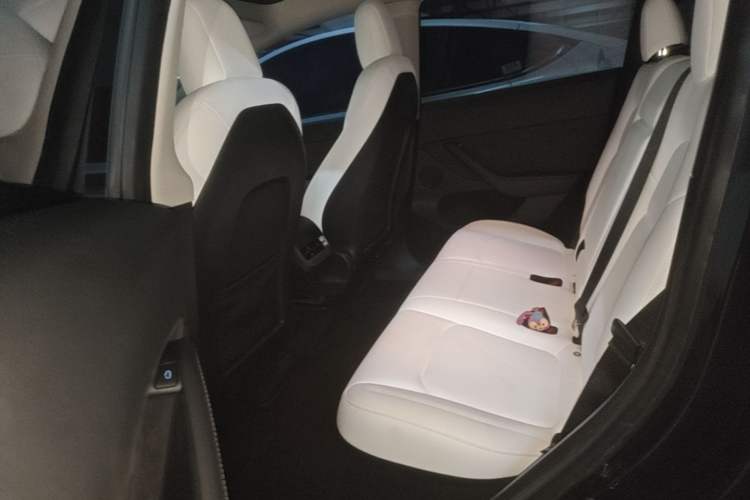 Used Tesla Model Y 2022 Rear-Wheel-Drive Version Left Rear Seat