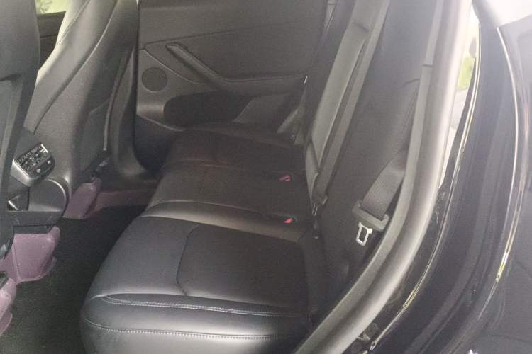 Used Tesla Model Y 2022 Rear-Wheel-Drive Version Left Rear Seat