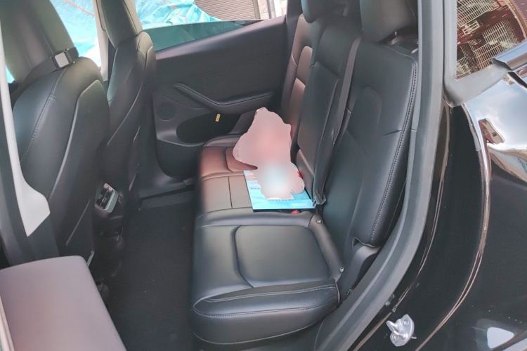 Used Tesla Model Y 2022 Rear-Wheel-Drive Version Left Rear Seat