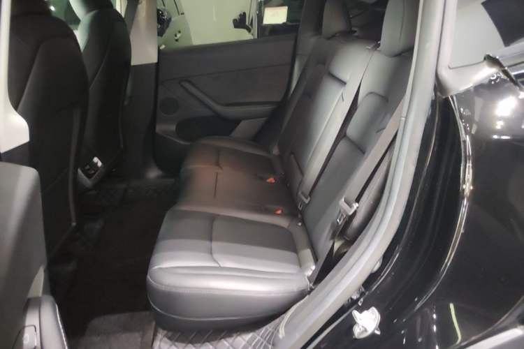 Used Tesla Model Y 2022 Revised Version Rear-Wheel Drive Left Rear Seat