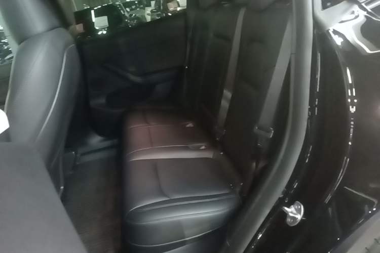 Used Tesla Model Y 2022 Rear-Wheel-Drive Version Left Rear Seat