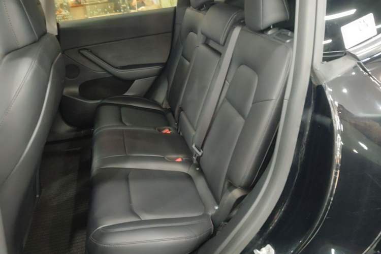 Used Tesla Model Y 2022 Rear-Wheel-Drive Version Left Rear Seat