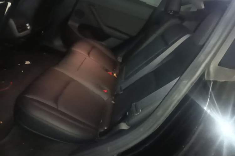 Used Tesla Model Y 2022 Revised Version Rear-Wheel Drive Left Rear Seat