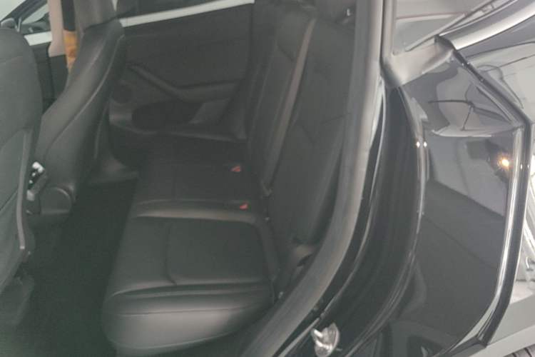 Used Tesla Model Y 2022 Rear-Wheel-Drive Version Left Rear Seat