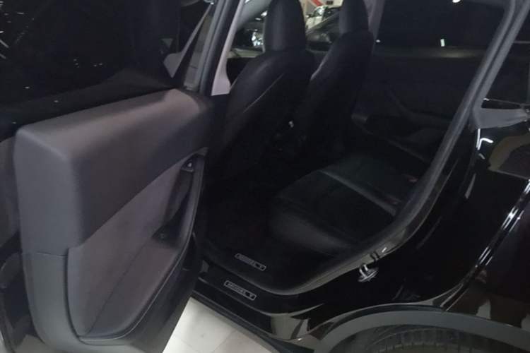 Used Tesla Model Y 2022 Revised Version Rear-Wheel Drive Left Rear Seat