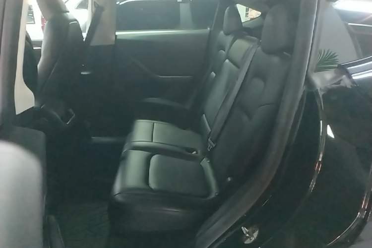 Used Tesla Model Y 2022 Rear-Wheel-Drive Version Left Rear Seat