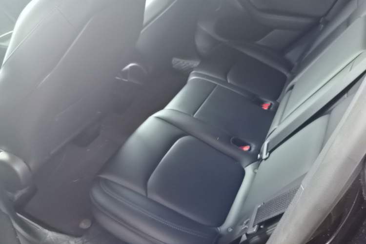 Used Tesla Model Y 2022 Revised Version Rear-Wheel Drive Left Rear Seat
