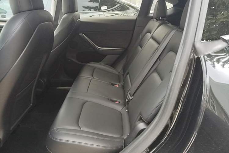 Used Tesla Model Y 2022 Rear-Wheel-Drive Version Left Rear Seat