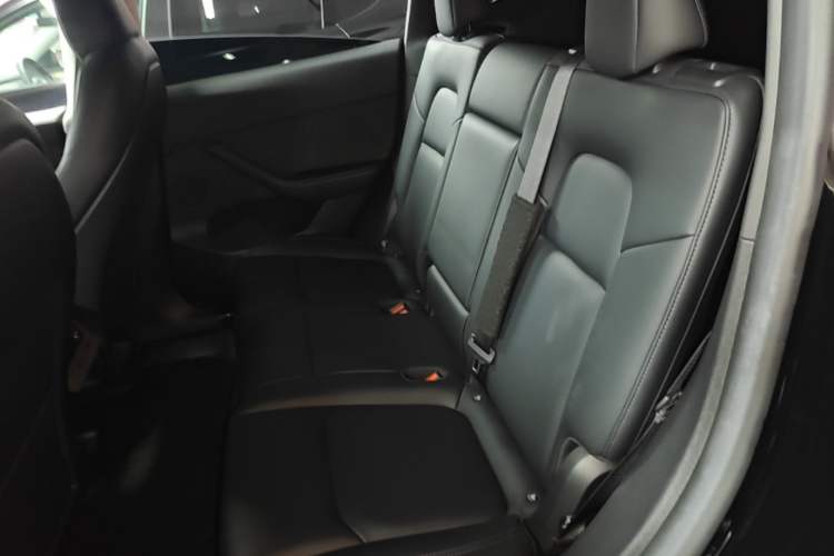 Used Tesla Model Y 2022 Revised Version Rear-Wheel Drive Left Rear Seat