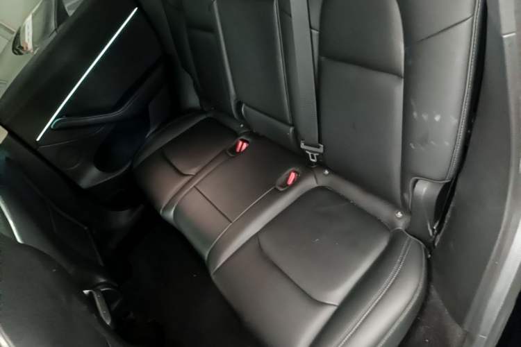 Used Tesla Model Y 2022 Revised Version Rear-Wheel Drive Left Rear Seat