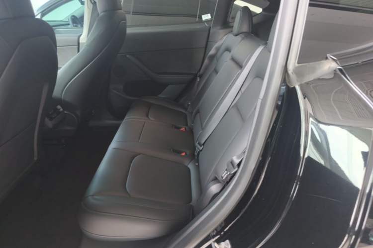 Used Tesla Model Y 2022 Rear-Wheel-Drive Version Left Rear Seat