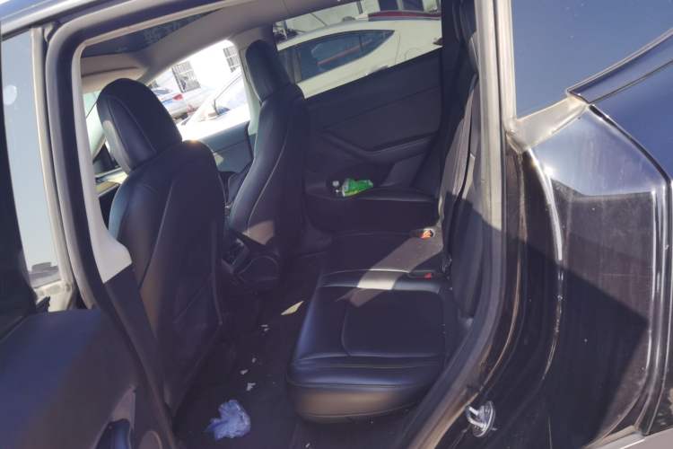 Used Tesla Model Y 2022 Revised Version Rear-Wheel Drive Left Rear Seat